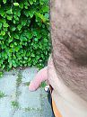 Zou het wat worden vandaag?, foto 2976x3968, 1 reacties, 2 stemmen