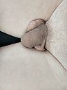 ..., foto 3000x4000, 2 reacties, 4 stemmen