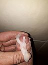 ., foto 3000x4000, 22 reacties, 49 stemmen
