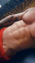 , film 00:00:07, 0 reacties, 5 stemmen