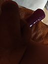 ...., foto 3000x4000, 1 reacties, 3 stemmen