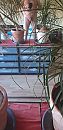 .., foto 1944x4000, 0 reacties, 2 stemmen