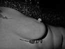 ...., foto 4000x3000, 5 reacties, 47 stemmen