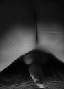 behoorlijk hard, foto 2299x3199, 5 reacties, 6 stemmen