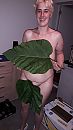 blad, foto 2250x4000, 1 reacties, 33 stemmen