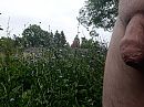 bloemenpracht, foto 3264x2448, 1 reacties, 4 stemmen