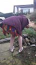 buiten werken, foto 2250x4000, 1 reacties, 27 stemmen