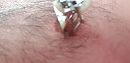 chat met drum, foto 1280x624, 4 reacties, 5 stemmen