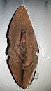 close up :p, foto 2160x3840, 1 reacties, 17 stemmen