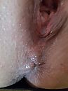 close up kontje, foto 3000x4000, 10 reacties, 33 stemmen