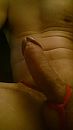 close up, foto 720x1280, 2 reacties, 8 stemmen