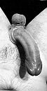 cocksling b&w, foto 2006x3854, 2 reacties, 12 stemmen