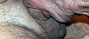 deep throat, foto 2155x969, 1 reacties, 3 stemmen