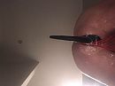 doggy buttplug, foto 960x721, 3 reacties, 8 stemmen