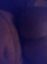 d'r in, foto 3000x4000, 0 reacties, 3 stemmen
