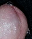 drip drip, foto 454x543, 1 reacties, 3 stemmen