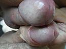 eikel ontmoet andere eikel 05, foto 4000x3000, 4 reacties, 21 stemmen