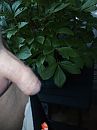 eikel word ontbloot, foto 3000x4000, 3 reacties, 3 stemmen