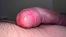 eikel;), foto 4000x2251, 3 reacties, 17 stemmen