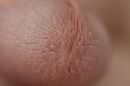 eikel, foto 4000x2666, 2 reacties, 3 stemmen