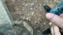 ff buiten spuiten, film 00:00:00, 8 reacties, 24 stemmen