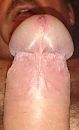 ff likken, foto 625x1025, 1 reacties, 3 stemmen