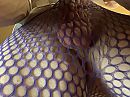fishnet 5, foto 3088x2320, 0 reacties, 2 stemmen