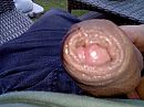 geen, foto 1600x1200, 2 reacties, 5 stemmen