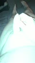 geile avond...., film 00:00:03, 0 reacties, 18 stemmen