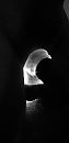 glow in de dark, foto 1559x3208, 1 reacties, 3 stemmen
