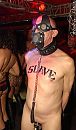 graag naar feesten, foto 403x688, 4 reacties, 19 stemmen