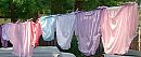 grote wasjjes, foto 2025x836, 2 reacties, 2 stemmen