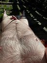 heerlijk, foto 3000x4000, 1 reacties, 12 stemmen