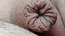 hmmm, foto 3984x2240, 1 reacties, 1 stemmen