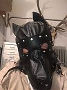 hondje van de Meesteres, foto 2320x3088, 3 reacties, 5 stemmen