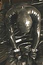 i, foto 427x640, 0 reacties, 4 stemmen