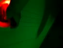 in blue vision, film 00:00:19, 11 reacties, 55 stemmen