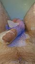in bad, foto 2250x4000, 7 reacties, 28 stemmen