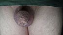 is weer klein, foto 3984x2240, 1 reacties, 3 stemmen