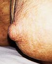 just one nipple ..., foto 1660x2000, 2 reacties, 6 stemmen