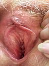 kut, foto 480x640, 13 reacties, 28 stemmen