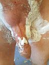 lekker glad, foto 3000x4000, 2 reacties, 8 stemmen