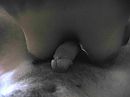 lekkere tieten, foto 1600x1200, 4 reacties, 17 stemmen