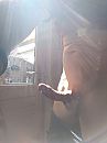 let the sun ...., foto 2448x3264, 3 reacties, 9 stemmen