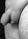 leuk zo, foto 2373x3215, 2 reacties, 6 stemmen