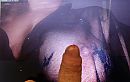 marsvenus2000, foto 3225x2043, 0 reacties, 0 stemmen