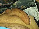 mm, foto 3096x2322, 5 reacties, 10 stemmen