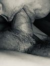 mmm... z’n heerlijke paal!, foto 1433x1865, 8 reacties, 24 stemmen