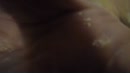 neuk me zo,mmm, film 00:00:00, 0 reacties, 1 stemmen