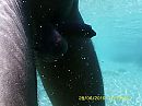 onderwater, foto 2592x1944, 1 reacties, 14 stemmen